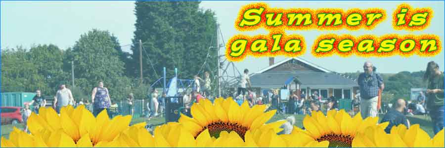 Photo showing Gala in the Summer